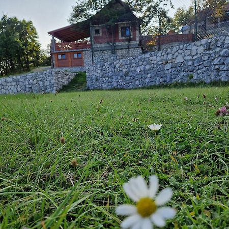 Mountain Village House Цетине Екстериор снимка