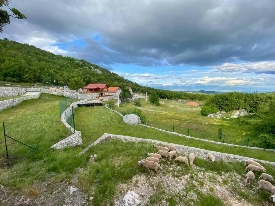 Mountain Village House Цетине Екстериор снимка