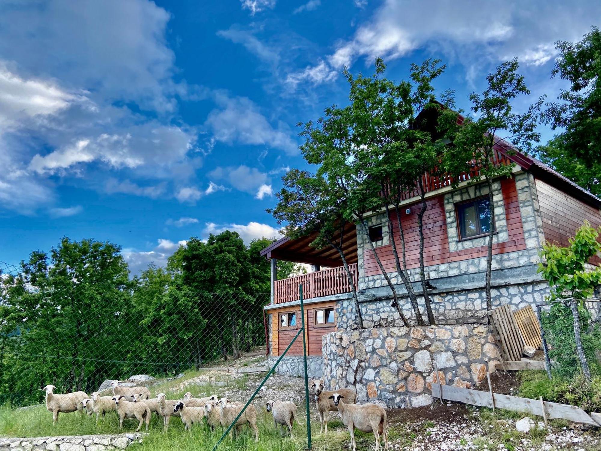 Mountain Village House Цетине Екстериор снимка