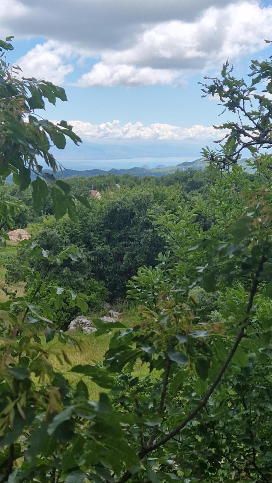 Mountain Village House Цетине Екстериор снимка