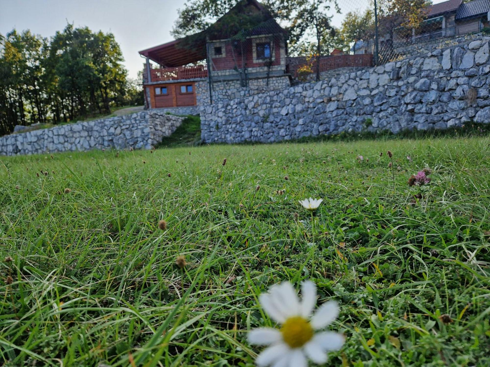 Mountain Village House Цетине Екстериор снимка